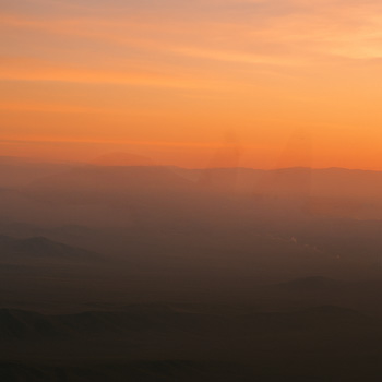 defence